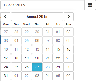 datepicker selected placeholder