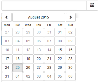 datepicker placeholder